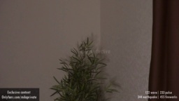 Ms_Seductive  26-01-2021